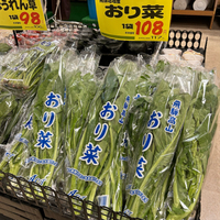 飛騨に春の訪れを告げる野菜 2023/03/22 12:27:12