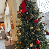 クリスマス仕様に 2022/11/22 14:01:49