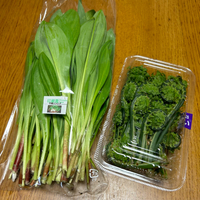 行者にんにくとこごみ 2023/04/22 11:21:57