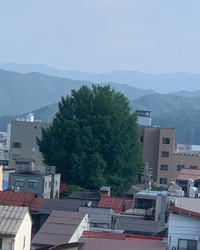 お盆休み突入です♪ 2022/08/11 11:37:33