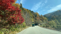 国道360号線