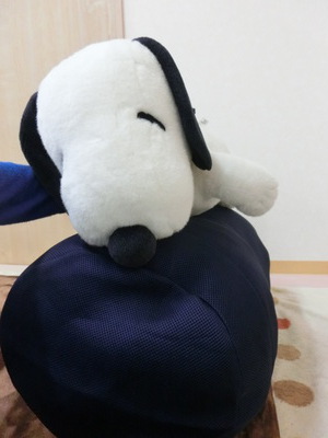 今日のふぃーるでは・・(^^♪