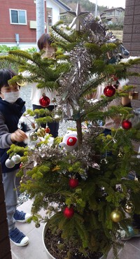 なちゅらるのクリスマスツリー