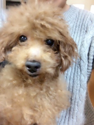 グループホームわおん富山に新しい仲間が増えました^_^