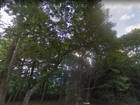 【山林】高山市久々野町 2020/12/10 09:51:21