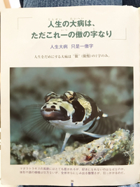 『僕は今の僕で満足です』 2018/05/27 18:01:45