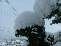 雪・雪・雪。