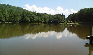 本日休日でして・・・