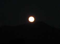 ステキな夜～♪