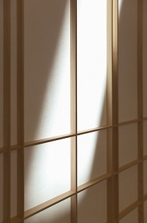午後の日射し