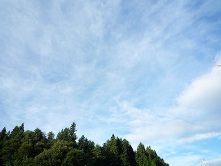 ある歯科医院の待合室のポスター