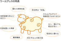 今週土日も