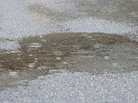 今日も雨・・