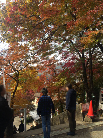 【犬山観光】木曽川の船上から紅葉を眺めて桃太郎公園へ
