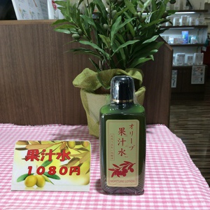 オリーブオイル入門編♪