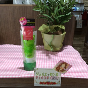 オリーブオイル入門編♪