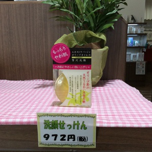 オリーブオイル入門編♪