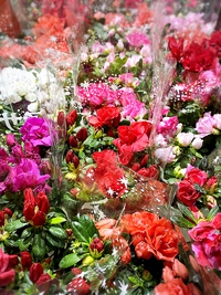 花いっぱいセール始まりました♪ 2023/02/27 10:10:16