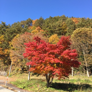 宇津江四十八滝行って来ました♪