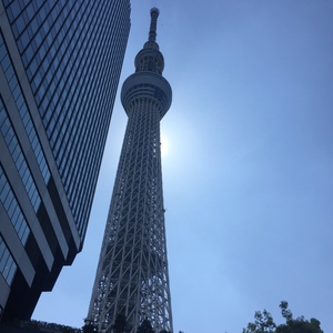 今、東京来てます♪