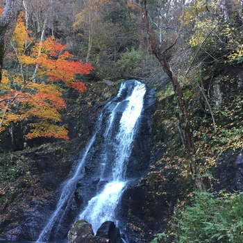 宇津江四十八滝行って来ました♪