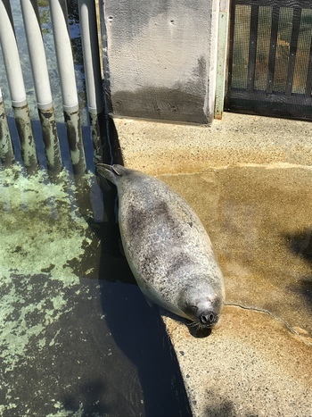 伊豆旅行2日目♪
