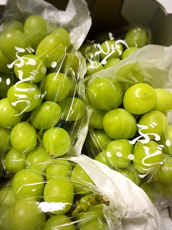 8,000円は下らない