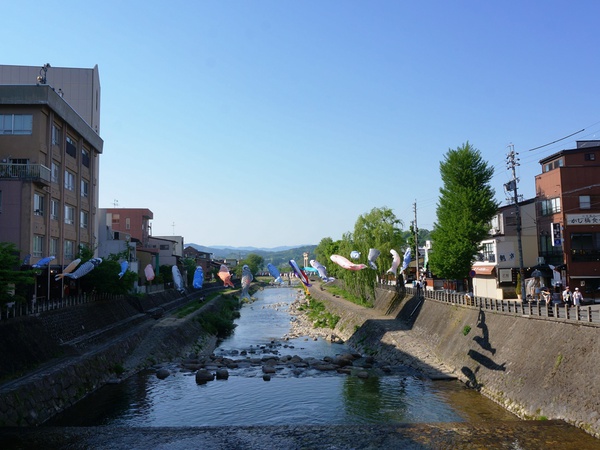 宮川にこいのぼりが泳ぎ始めました！