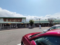 山梨、桜探し、続き