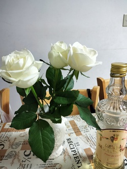 ５月最終日　筍から薔薇❓