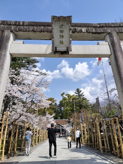 桜を見に、山梨各地へ