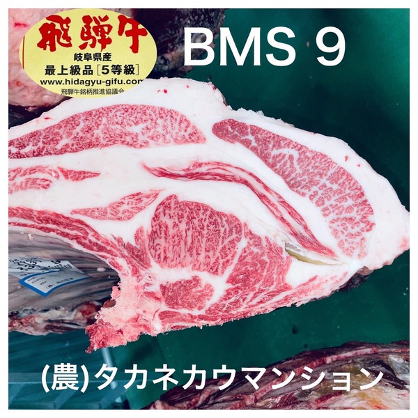 飛騨牛競り市