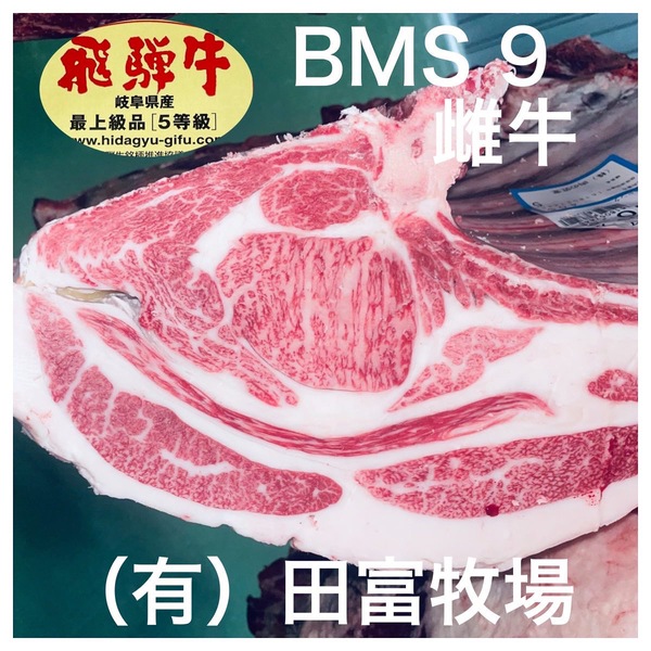 飛騨牛競り市