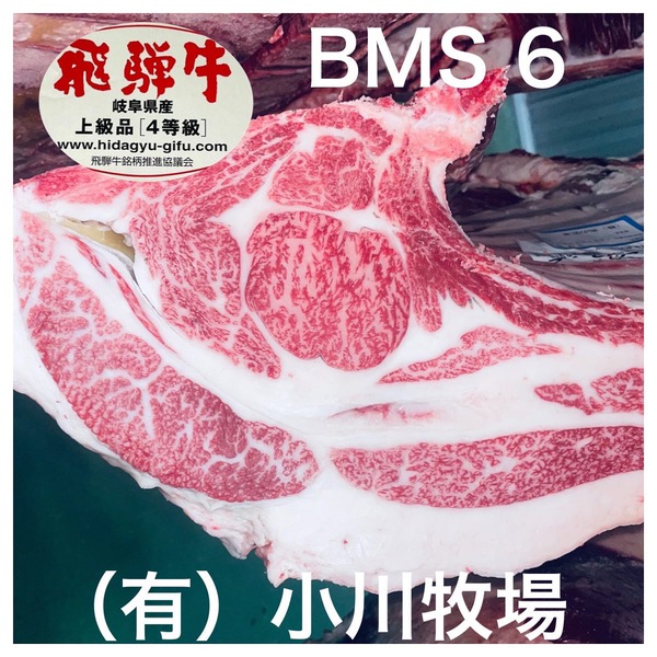 飛騨牛競り市