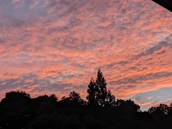 真西の夕焼け雲・・・小学校2年生の孫娘がきれいだと感嘆して撮った写真　2024.08.23