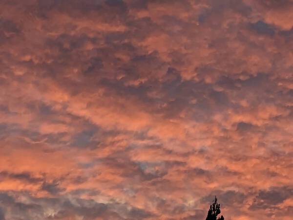 真西の夕焼け雲・・・小学校2年生の孫娘がきれいだと感嘆して撮った写真　2024.08.23