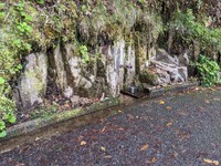 岩石層から、滲み出でくる清い水・・・2023.10.13 2023/10/13 11:18:40
