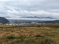 空雲の下にもう一つの筋雲模様を視ました。　　2023.11.12 2023/11/12 18:29:22