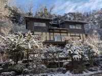 雑木に付く　、「「舞う雪の華・・・たる新雪」」・・・2023.12.18 2023/12/18 10:05:52