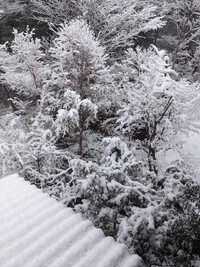 高齢期に向かう今の現役世帯の一端としての心構え・・・2024.01.14 2024/01/14 20:22:57