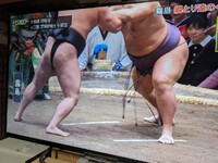 国技・大相撲のある一番…解説者の話はなるほどでした・　　2024.01.22 2024/01/22 08:15:20