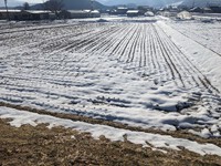 雪面の「「田んぼ」」の様子・・・そういえば「田んぼダム」を思い起こしてみましたが　　2024.02.03 2024/02/03 13:31:42
