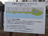 琵琶湖岸のウォーキングコースを歩く　　2024.01.07 2024/01/07 07:50:17