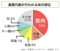 食事と基礎代謝について 2018/10/08 07:11:32