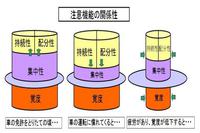 注意機能　について　