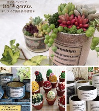彩り市！ｌｅａｆ❀ｇａｒｄｅｎのご紹介⑭ 2019/11/17 12:59:55