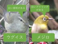2024年02月29日（木）／曇りのち雨 2024/02/29 08:31:06