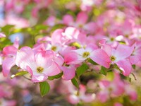 2025年05月03日（土）／晴れのち曇り、その後、雨