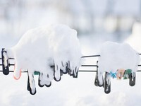 2024年01月17日（水）／晴れのち曇り 2024/01/17 08:30:05