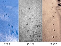 2024年02月23日（金）／曇り 2024/02/23 08:30:14